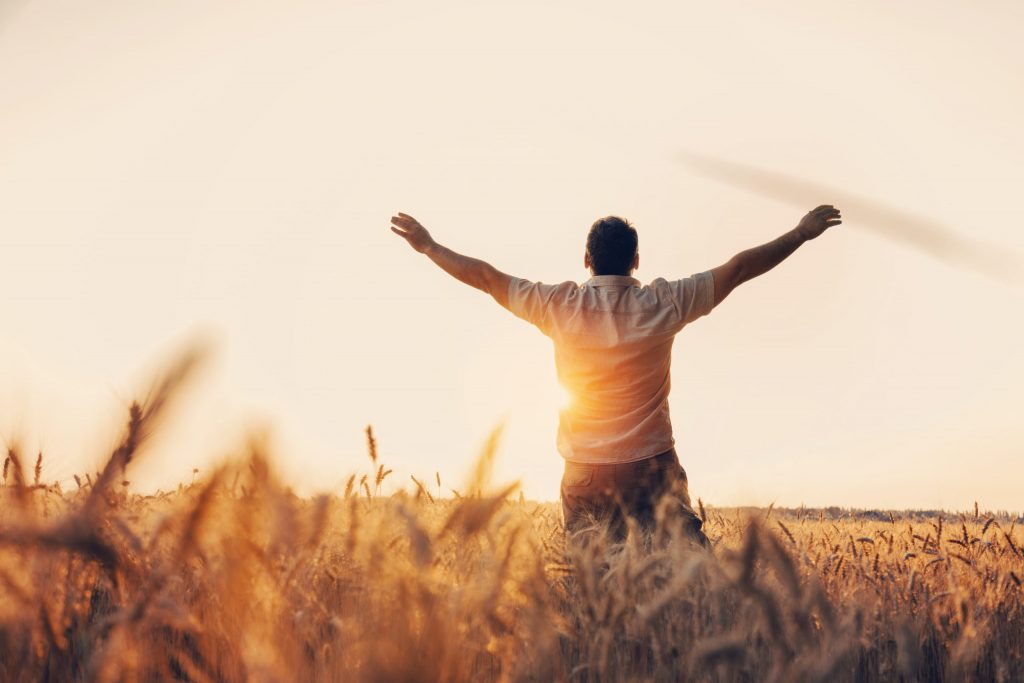 עמית בן דוד